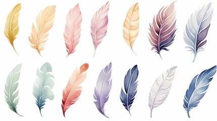 Watercolor feathers on a white background