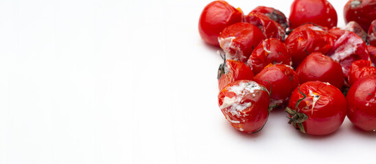 Front view. Red rotten cherry tomato with mold, isolated on white background. Concept of healthy food, trash, garbage, spoiled product, autumn, fall, poor, diet. Copy space for text. Horizontal banner
