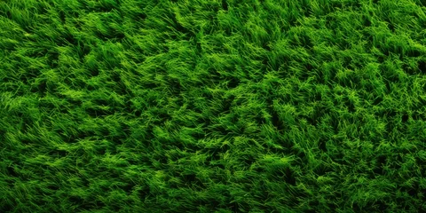 Fensteraufkleber Green lawn top view. Artificial grass background grass green field texture lawn golf nature © megavectors