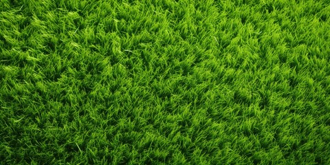 Green lawn top view. Artificial grass background grass green field texture lawn golf nature