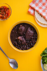 Frijol con puerco - imágenes, fotografías de comida yucateca tradicional, cocina maya ancestral a base de frijol negro y distintos ingredientes cilantro, rábano, cebolla, chile en fondo de color. © PedroFrancisco