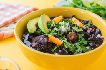 Frijol con puerco - imágenes, fotografías de comida yucateca tradicional, cocina maya ancestral a base de frijol negro y distintos ingredientes cilantro, rábano, cebolla, chile en fondo de color. © PedroFrancisco