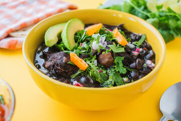 Frijol con puerco - imágenes, fotografías de comida yucateca tradicional, cocina maya ancestral a base de frijol negro y distintos ingredientes cilantro, rábano, cebolla, chile en fondo de color. © PedroFrancisco