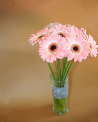 a bouquet of light pink gerbera flowers in a glass vase stands on a brown background. side view. Happy Birthday. congratulations on the holiday . calendar. The poster