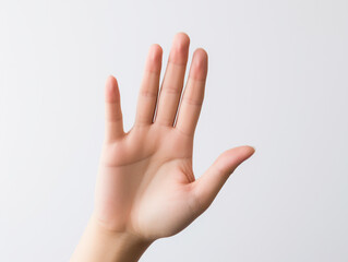 hands isolated on white