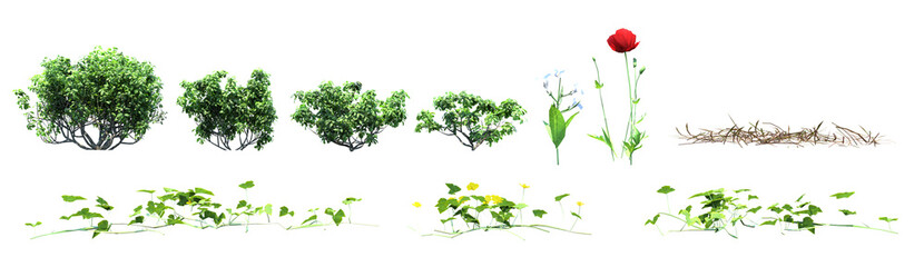 grass and flowers, tree isolated on white background, pack of tree on transparent background