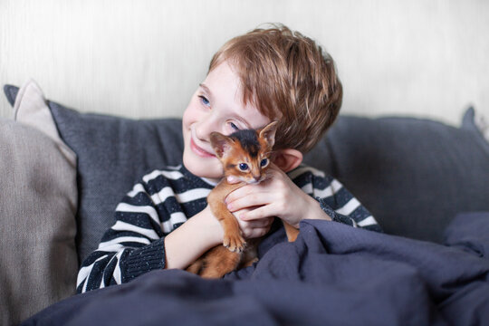 Child hugging abyssinian ruddy kitten. Little boy playing with red kitten at home. Pets care.  Image for websites about cats. Selective focus.