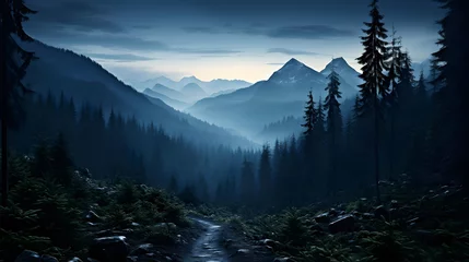 Fotobehang Tatra Panoramic view of the beautiful Carpathian mountains in Ukraine