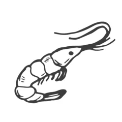 Deurstickers Shrimp doodle symbol. Shrimp logo design. Sea food logo. © Saramix