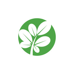 Moringa logo vector template symbol nature
