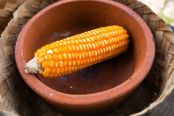 Close up photo of Harvested crop, whole dried corn in an earthenware bowl and woven bamboo basket....