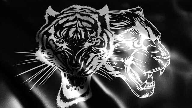 flag in loop of Combined faces of lion and tiger in black background