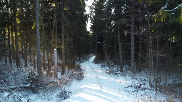 Drone shot from snowy Swedish forest