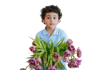 Cute little curly boy holding bouquet of tulips against transparent background. Mothers day concept. Handsome toddler wants congratulate mom.
