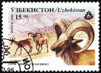 Postage stamp Uzbekistan 1996 Afghanistan wild sheep, ovis ammon cycloceros, Wildlife
