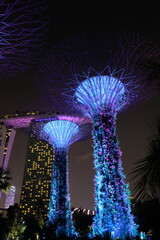 Solar-powered supertrees at dusk in Gardens By The Bay, Singapore, city skyline

