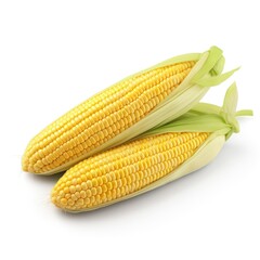Two ears of corn on a white surface.