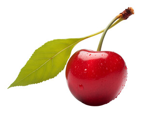A close up of a cherry