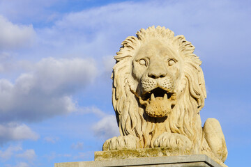 Obraz premium Budapest, Hungary, November 3, 2023:Lion Sculpture at Szechenyi Chain Bridge - Budapest, Hungary 