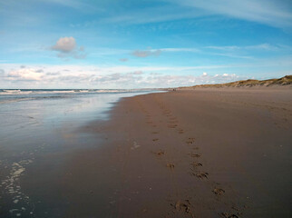 beach and sea
