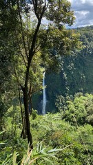 Obraz premium trees on the river