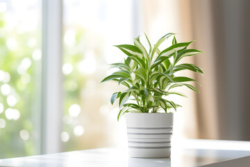 Serenity by the Window: Peace Lily in a Pot with Space for Text