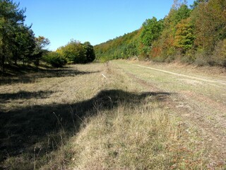 nature is back on the old highway between Eisenach and Waltershausen Thuringia, Germany