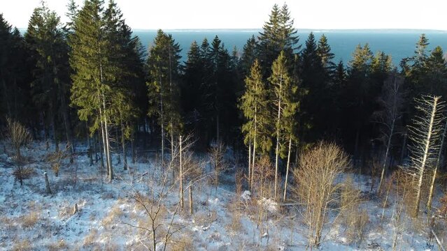 Winter shot of Omberg Mountain and lake Wattern in Ostergotland, Sweden