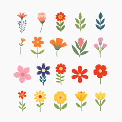 Simple illustration spring flower leaves and branches.  Hand drawn botanical elements
