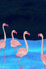 Ilustracja grafika różowe flamingi w wodzie ciemne tło.
