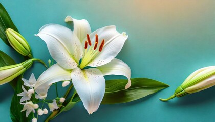 beautiful floral background with white lily flower on same color background banner template for beauty spa wellness natural cosmetics concept