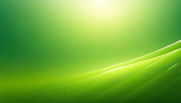 green natural gradient background abstract green blurred background with bright sunlight