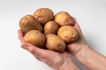 Raw potatoes isolated on a white background. A popular vegetable. An essential product for cooking