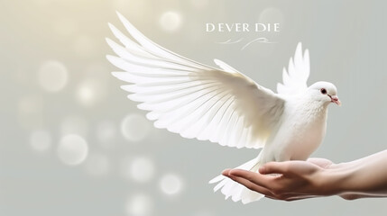 Dove in the air with wings wide open in-front of the sun
