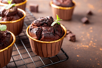 Chocolate brownie muffins with mint on dark background, copy space for text