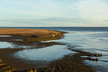 View of the sand dunes of the Gulf of Finland.