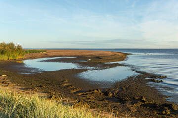 View of the sand dunes of the Gulf of Finland.