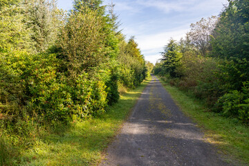 Trail in the Union wood