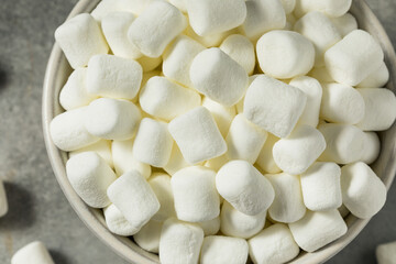 Dry White Organic Mini Marshmallows