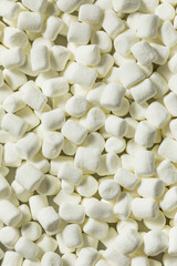 Dry White Organic Mini Marshmallows