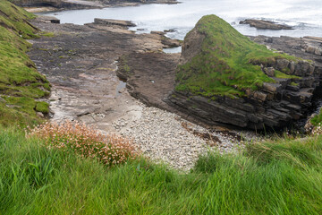 Rocks and vegetation in Mullaghmore head