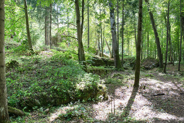 Wolf's Lair, Wolf's Fort - Adolf Hitler's command headquarters on the Eastern Front during world war II. East Prussia, Poland. German nazi fortification.