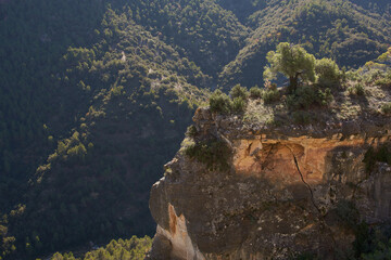 Green landscape with an ocher colored rock formation in the foreground with leafy trees above