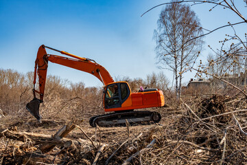 An orange excavator is working after a hurricane, clearing the ground of branches and trees