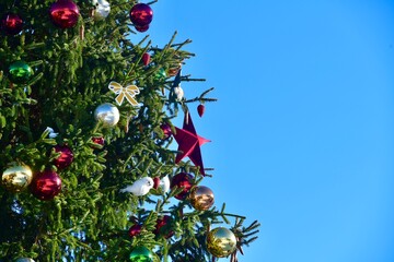 Christmas tree with blue sky background 