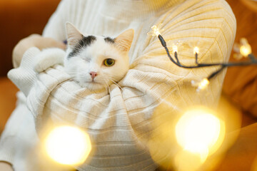 Hands hugging adorable cat without one eye on background of christmas lights in room.Pet adoption...
