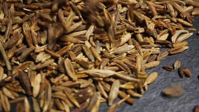 Cumin or jeera seeds rotating close-up. Seasoning cumin or jeera. Spice for food