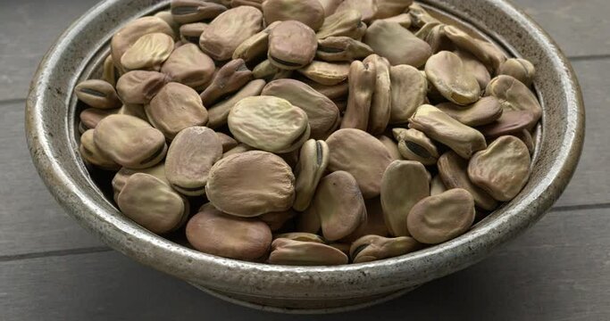 Whole dry Fava Bean (Vicia faba) in a bowl in a wooden box, rotating in a circle. 