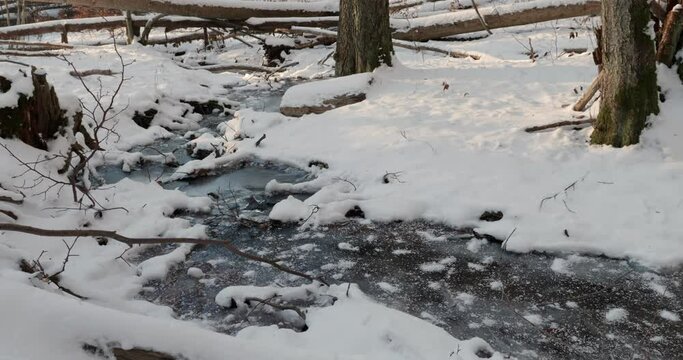 wideshot of a frozen creek in a Swedish forest on the Omberg Mountain