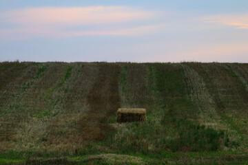 a filed in masuria with mowed hay - obrazy, fototapety, plakaty